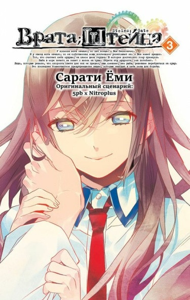 Врата Штейна